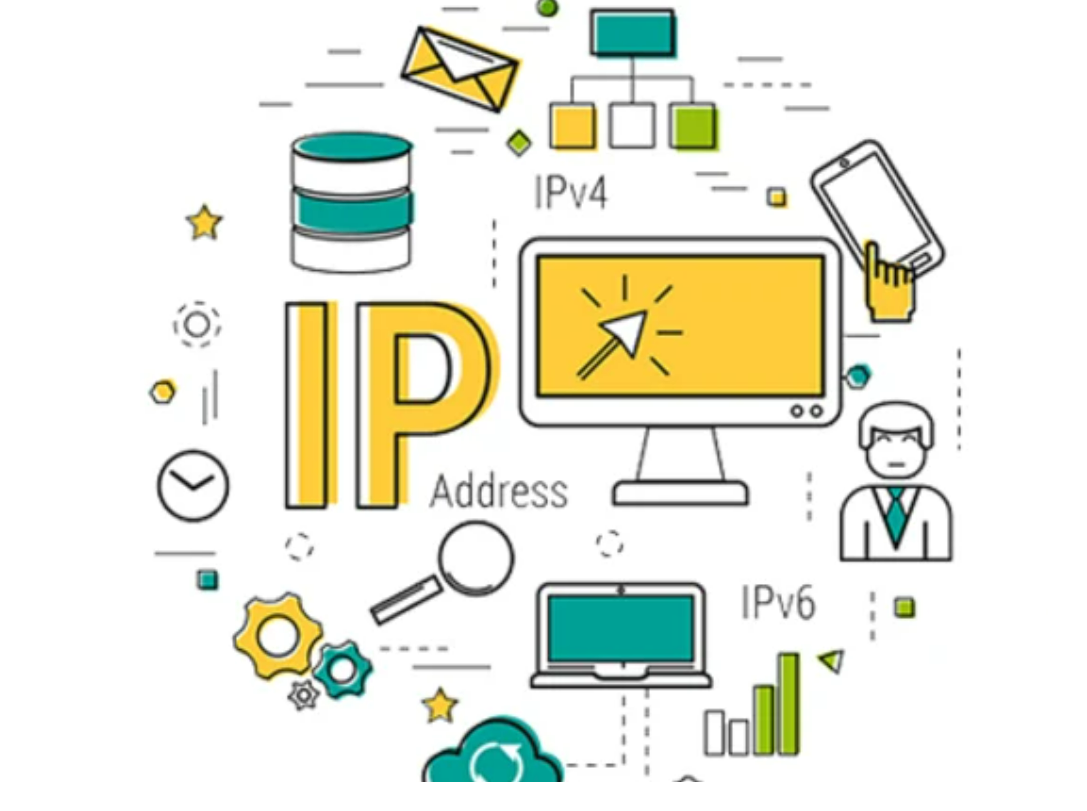 IP-Management